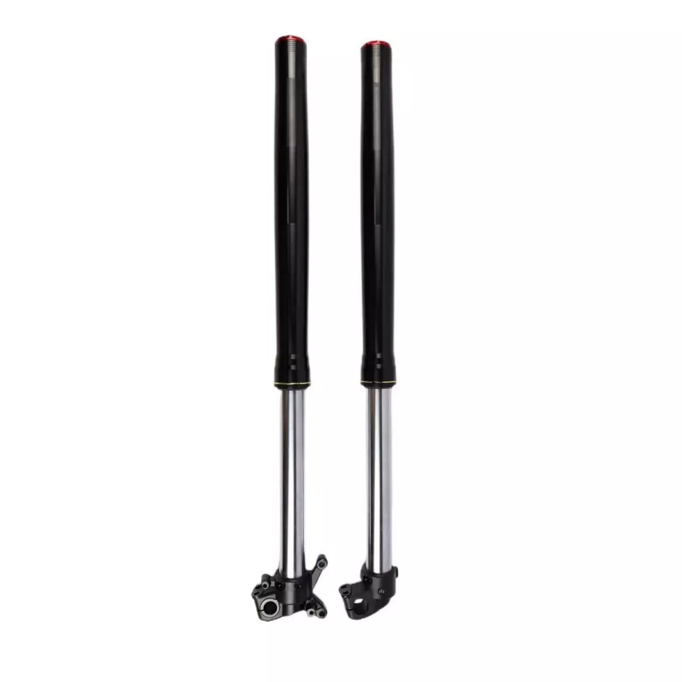 Electric Bike Double Adjustable Inverted Front Fork